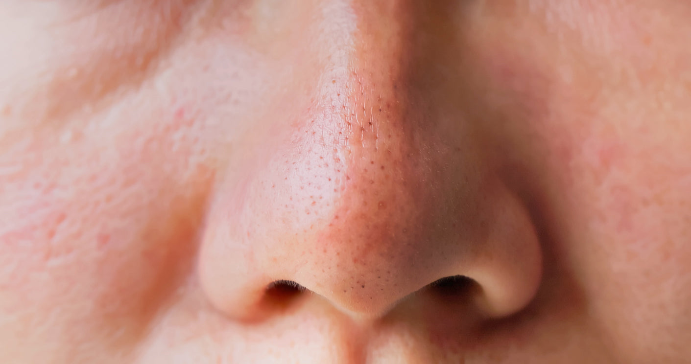 Pore Size